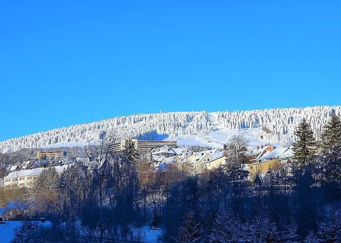 Hillside No. 18 Lägenhet Loučná pod Klínovcem